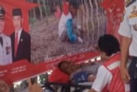 Kegiatan Donor darah yang digelar Dishub Tanbu dalam memperingati Harhubnas Tahun 2024. Foto : Mc Tanbu