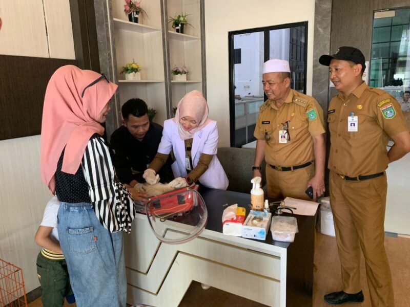 DKPP Kabupaten Tanbu saat melakukan penyuntikan vaksi rabies terhadap hewan. Foto : Mc Tanbu