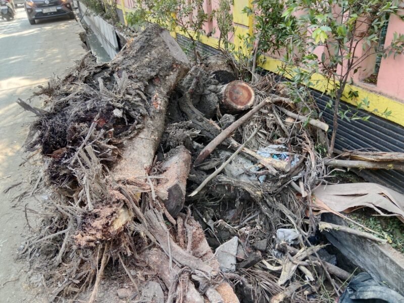Foto: Reruntuhan Batang Pohon Menumpuk di Saluran Air saat Pemasangan U-ditch