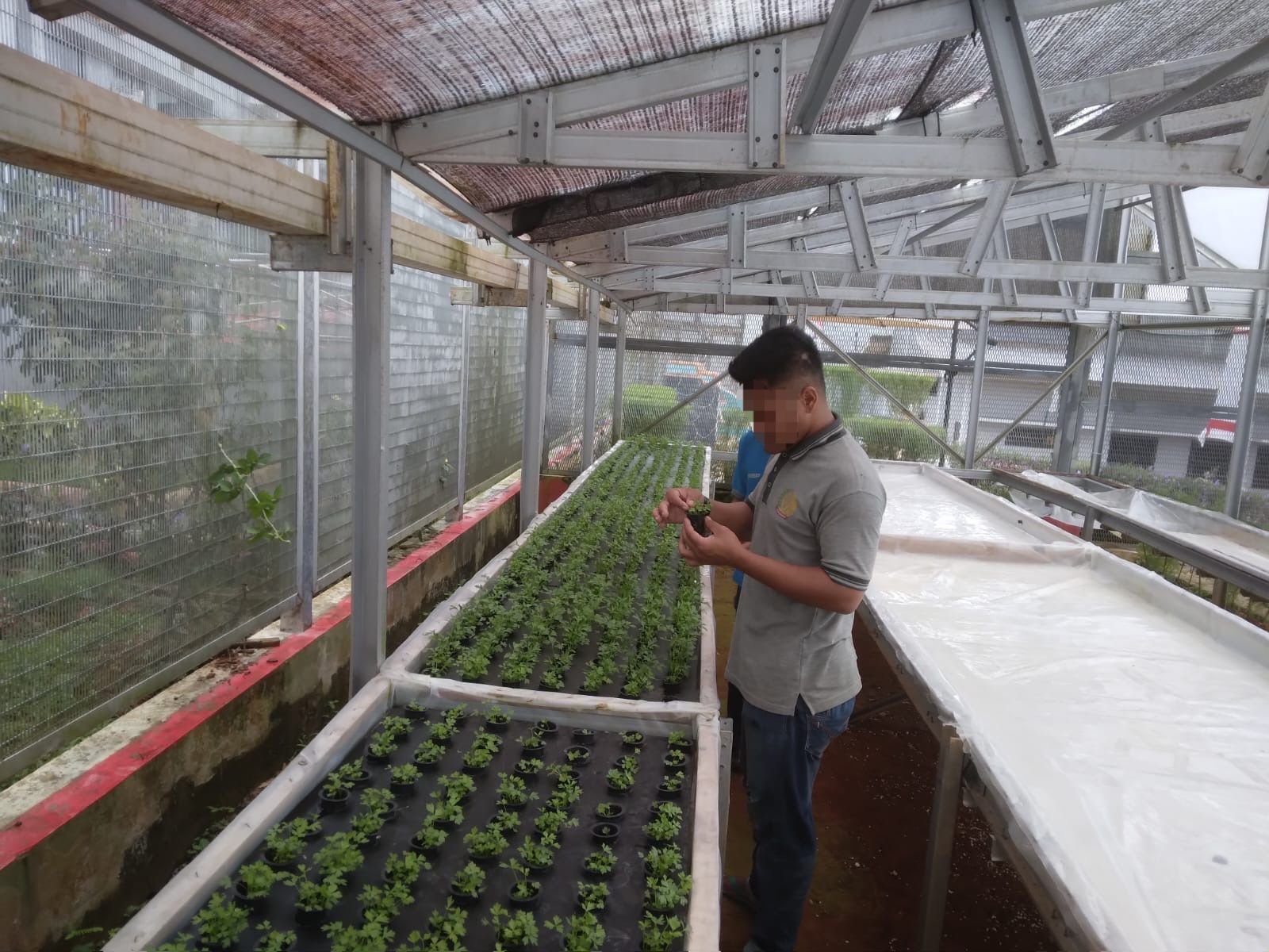 Tingkatkan Kualitas, Warga Lapas Batulicin Diajarkan Bertani Hidroponik