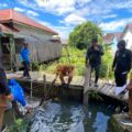 Atasi Genangan, Disperkimtan Tanah Bumbu Rehabilitasi Drainase Permukiman