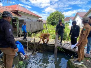 Atasi Genangan, Disperkimtan Tanah Bumbu Rehabilitasi Drainase Permukiman