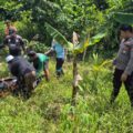 Tiga Hari Hilang Kontak, Perantau Asal Lumajang Ditemukan Tewas di Perkebunan Satui