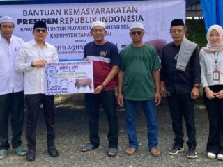 Iduladha 2026, Tanah Bumbu Terima Sapi Kurban Presiden Prabowo