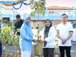 Dorong Penghijauan, Pemkab Tanah Bumbu Bagikan Bibit ke 12 Kecamatan