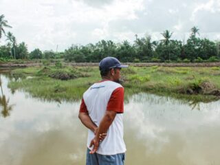 Tanggul Ditinggikan, Petambak Kepiting Muara Pagatan Tak Lagi Cemas